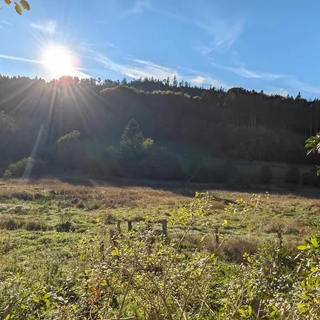 Le Vosges Montagne 샬레 *