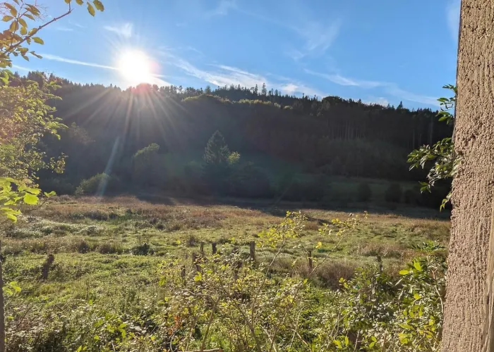 Le Vosges Montagne Шале *