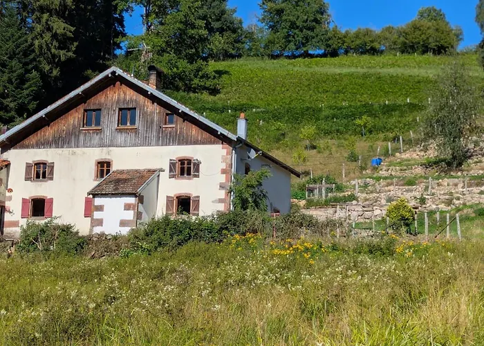 Le Vosges Montagne Ле-Толи